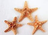 maritime Dekoration