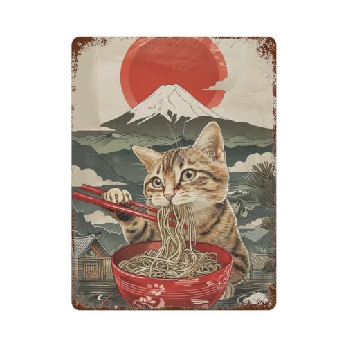 Plaque murale rétro en fer chat ramen 40x30 cm HDURYEYRYY
