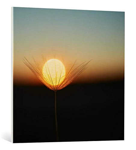 Kunst für Alle Cuadro en Lienzo: Milan Riha Trapped in a Downy tuft - Impresión artística, Lienzo en Bastidor, 80x80 cm