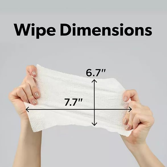 Member Mark Premium Fragrance-Free Baby Wipes (1152 Count), 19.6 pounds, 1152.0 Count image 4 of 4 B0FB6QNDNX