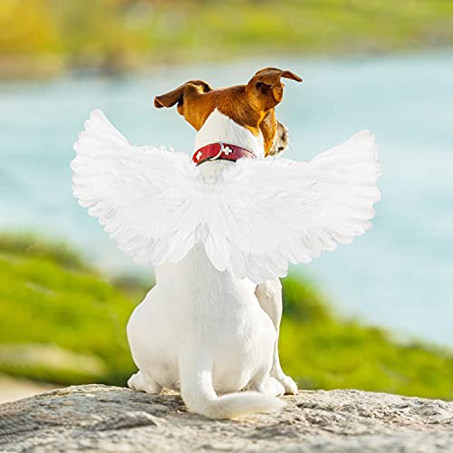 Bwogue Dog Angel Wings Costume Halloween Dog Costume For Dogs Puppy Cats White Feather Pet Wing Costume Cosplay For Party M #TOP4