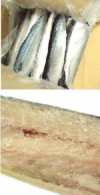 ƖpEⓀToEtB[ I̕Аg(Az) 12 (6^pbN×2Zbg)@mEF[YTo̔tB[