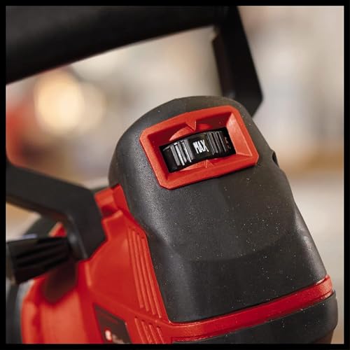 Einhell Exzenterschleifer TE-RS 40 E (400W, 12.000-24.000 1/min Schwingzahl, 125mm Scheiben-ø, aktive Staubabsaugung, Filterbox)