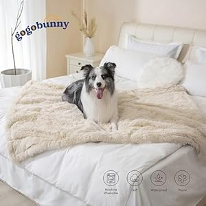 gogobunny-Waterproof-Plush-Long-Faux-Fur-Pet-Throw-Blanket-Ultra-Soft-Fluffy-Bed-Couch-Cover-Washable-Premium-Flannel-Calming-Blankets-for-Dog-Puppy-Cat-25x35-Inch-Pack-of-1-Beige - Cucciolini Doodles   gogobunny-Waterproof-Plush-Long-Faux-Fur-Pet-Throw-Blanket-Ultra-Soft-Fluffy-Bed-Couch-Cover-Washable-Premium-Flannel-Calming-Blankets-for-Dog-Puppy-Cat-25x35-Inch-Pack-of-1-Beige