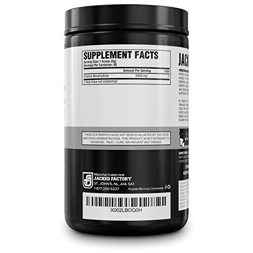 Creatine Monohydrate Powder - Image 5