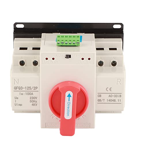 Spacnana Interruttore di Trasferimento Automatico A Doppia Alimentazione, Interruttore di Commutazione Manuale Automatico da 100 A 220 V con Protezione da Sovraccarico da Cortocircuito,