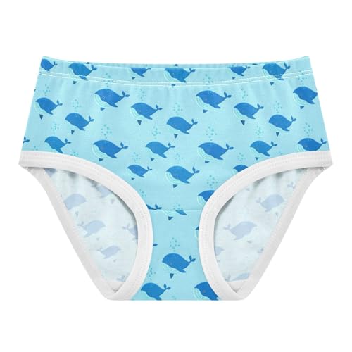 Ocean Whale Blue Toddler Girls's Underwear 2T 2303183