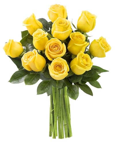 KaBloom - 12 Yellow Roses without vase - Fresh Flowers for Birthday, Valentine's & Mother's Day