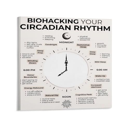 Biohacking Your Circadian Rhythm Poster Daily Routine And Sleep Optimization