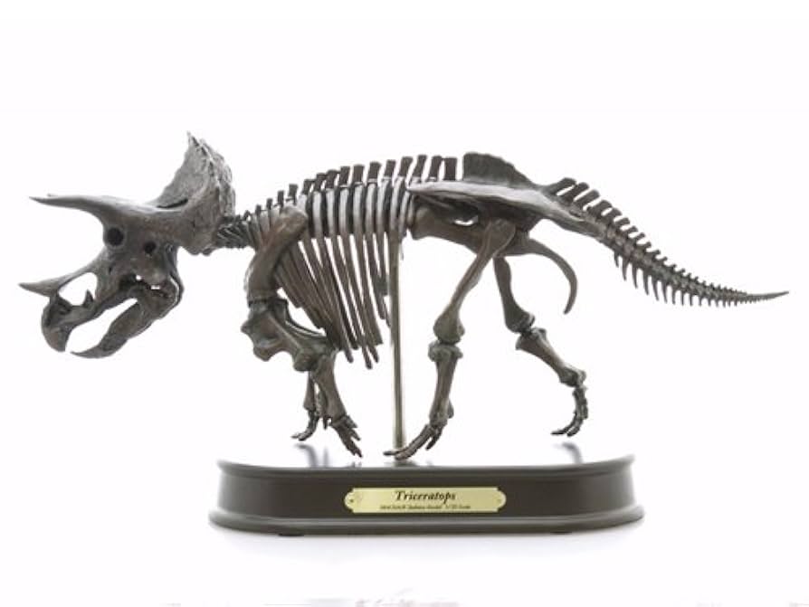 フェバリットコレクション アロサウルス 1/15 スケルトンモデル 恐竜 フェバリットコレクション アロサウルス 1/15 スケルトンモデル 恐竜