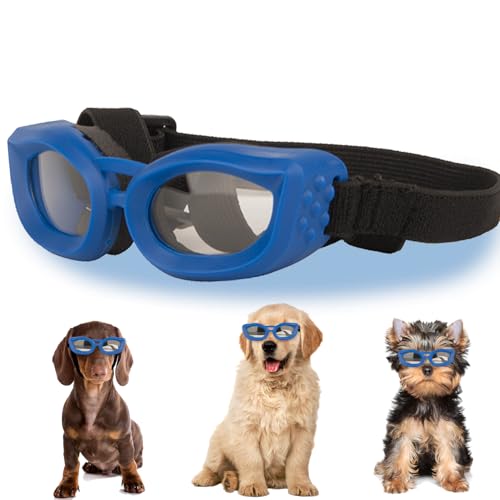 ���p�S�[�O�� ���^����AUV/��/�ق���/���ی�y�b�g�T���O���X�A���߉\�ȃX�g���b�v�t���A���^���p�A�E�g�h�A�T���O���X�A�ȒP����