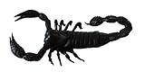 Rubber Black Scorpion Novelty Prop