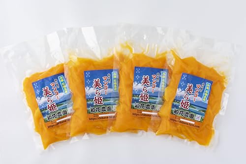 冷凍美ら姫マンゴー 2kg(500g×4袋)CB-004