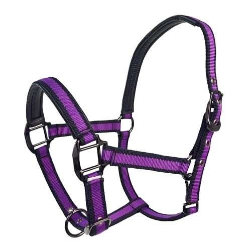 Hilltown Adjustable Horse Halter with PP Webbing, Durable Breakaway Halters for Horses with Zinc Alloy Hardware, Horse Training Equipment to Prevent Friction for Training, Competitions, Daily (Purple)