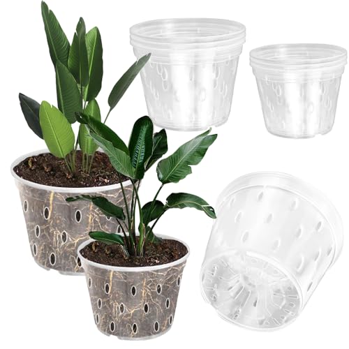 VGECEE 6 Pcs Macetas Transparentes para Orquídeas Macetas Transparentes Plastico de 2 Diferentes Tamaños 11 y 12.5cm Macetas Plasticas con Agujeros Macetas para Orquídeas Exteriores Interiores
