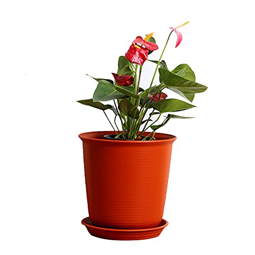 Preisvergleich Produktbild Anqeeso Blumentopf, Kunststoff, Kreis Blumentöpfe Pflanzgefäße mit Untertasse Palette des Frischen Setzlinge Töpfe für Home Office Dekoration, Red High Style, XS