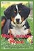 Produktbild Mein erster Hund: Ein A bis Z Ratgeber für all jene, die einen Hund als neues Familienmitglied bei sich aufnehmen möchten