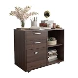 DBXII Wood File Cabinet, 3 Drawer Mobile Lateral Filing Cabinet on Wheels, Printer Stand with Open S