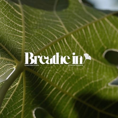 BREATHE IN | The Fig Tree 彡