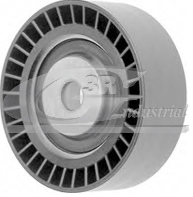 3RG 13103 Puleggia inversione/Guida, Cinghia poli V