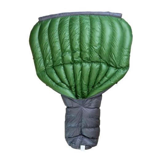 41T73xgdmlL._SS520_ Best aegismax quilt