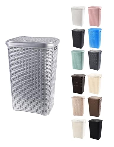 JARDIN202 - Cesto Ropa Sucia Pongotodo con Tapa y Asas | Cesta Colada Plástico Ratán | Cubo Ropa Sucia Ventilado | Baño Dormitorio | 38L/60L | 60 litros (Plata)