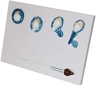 5 Stages Sperm Development Process Model - Scientific Anatomical Model Male Sperm Development Process Model for Study Display Teaching