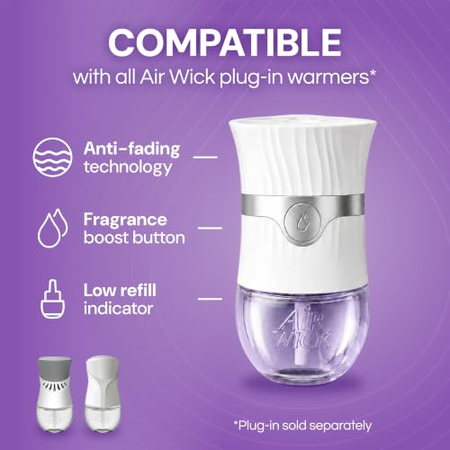Image of Air Wick Plug-In Scented Oil Refills, 10 Count, Lavender & Chamomile, Air Freshener, Essential Oils, Eco Friendly