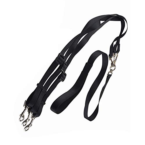 Trois têtes grands chiens laisse nylon avec sangle de traction réglable 360 degrés