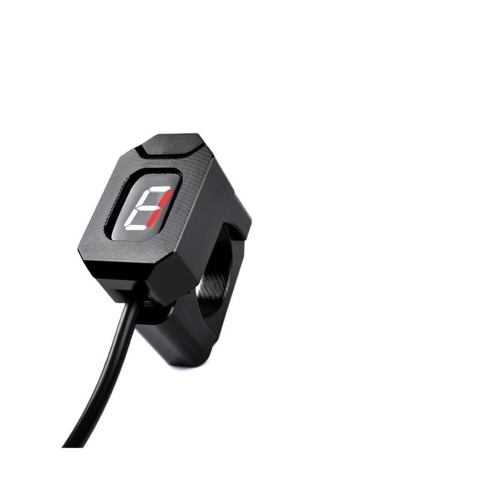 イヅミール様専用】掛軸 小林太玄 芦にとんぼの図 清風生八極 画賛 共箱