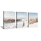 Hardy Gallery Boardwalk 3-Panel