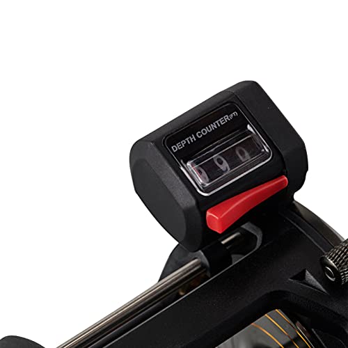 Penn Squall Ii Level Wind Conventional Fishing Reel, Black Gold, 15 #TOP3