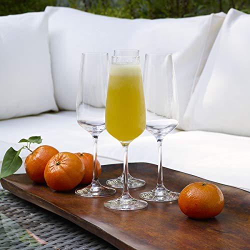 Mikasa Melody Champagne Flute, Set Of 4, 9.5-Ounce, Clear #TOP4
