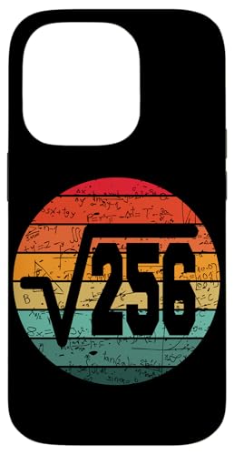 256 �̕����� 16 �΂̒a���� ���B���e�[�W 16 �� �X�}�z�P�[�X iPhone 14 Pro �p