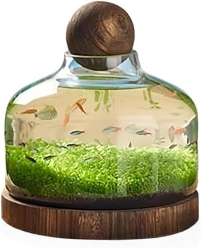 XiraivkeGRfނ̓KX rƂĂiσACeƂĂp\ ؐg[tŐݒu萫Ƒ k͔|~Niς̍쐬ɍœK ƒ̃rOQȂǎŎgpł鑽@\??