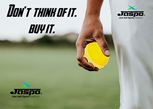 jaspo Synthetic Rubber T-20 Plus Practice Cricket Ball Wind Balls 125-130 GMS for - Indoor Outdoor Street Beach Cricket White - Thumbnail 5