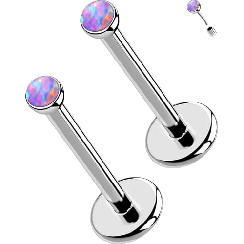 OUFER 2PCS 16G/20G Nose Lip Studs, G23 Solid Titanium Threadless Push in Nose Nostril Lip Labret Medusa Monroe Helix Cartilage Tragus Conch Lobe Piercing Jewelry for Women Men Silver bar,Pur