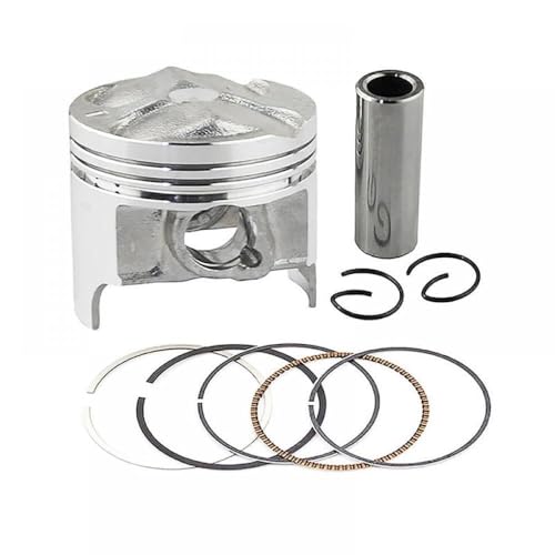 I[goCsXgOLbg49mm49B 5mm gsx250r gj72a gj73a gj74a gsf250 250913(Piston kit 49.25mm)