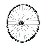 Glatte Dichtungslager: Mountainbike-Räder verwenden die Struktur von 2 vorderen und 4 hinteren Lagern, was die Übertragungseffizienz effektiv erhöht und Ihr Langstreckenfahren erleichtert.