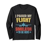 I Paused My Flight Simulator To Be Here