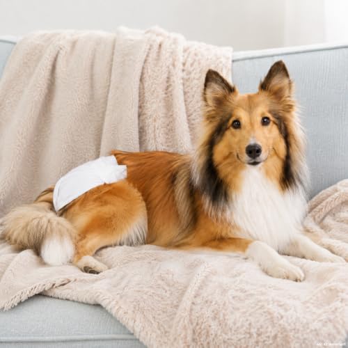 TRIXIE Hundewindeln für Hündinnen Gr. S–M, 12 St., 28–40 cm Taillenumfang