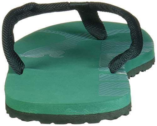 Image of Puma Unisex-Adult Epic Flip V2 Jr Sandal