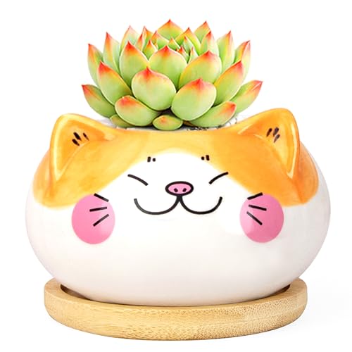 YINUOWEI Cute Cat Animal Ceramics Planter Succulent Pot with Drainage,