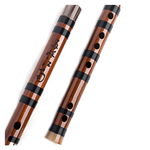 |t[g ꂽ|t[gvtt[gSґl[{y평SҒ|t[g(F)