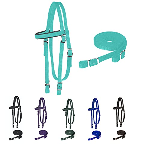 Majestic Ally Frontalera Acolchada de Nailon con riendas para Caballos (Turquesa, Completa)