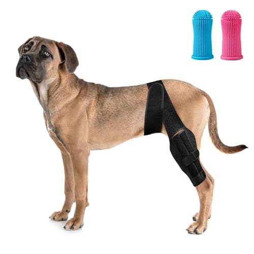 Black Dog Knee Brace for Hind Leg Adjustable Dog Leg Support Back Leg for Joint Pain Relief Arthritis Luxating Patella for Puppy with touthbrushes XS