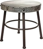 Red Co. 10” Tall Round-Top Antique Metal Milking Stool Display Plant Stand Holder, Weathered Silver Tone