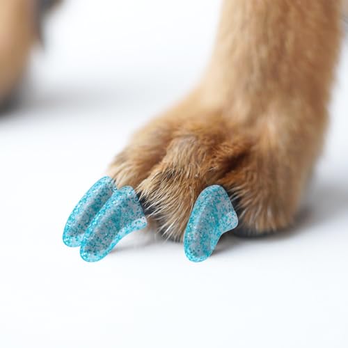 100pcs Dog Nail Caps Claw capsCover with Glue and Applicators (XL: About. Weight: 25-40 pounds)