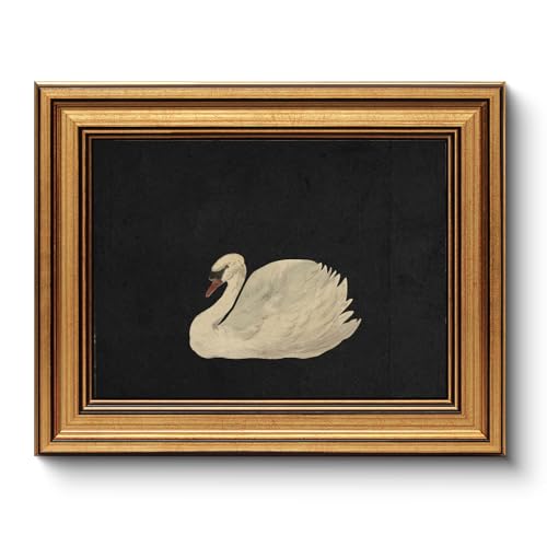 Image of HUARCEY Gold Framed Vintage Wall Art for Living Room, Grace Swan Art Painting Pictures Rustic Animal Bathroom Prints Farmhouse Wall Decor Mother's Day Gifts for Mom Canvas Swan Shelf Decor for Bedroom