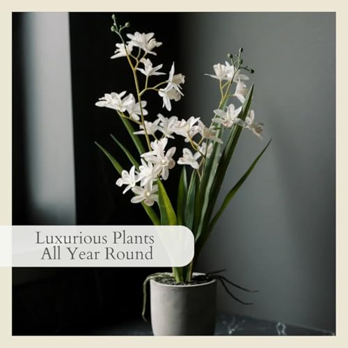 Image of CG Hunter Faux Vanda Orchid Plant, Premium Artificial Indoor Flower Display Stands 20.5 inch, Beautiful Sculptural Blooms that Lasts Forever, White Planter Pot Included
